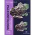 paleontologia-volume-3-b6ad13.jpg