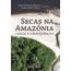 secas-na-amazonia-causas-e-consequencias-294778.jpg