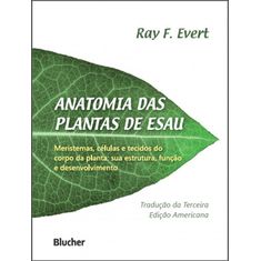 anatomia-das-plantas-de-esau