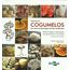 producao-cogumelos-tecnologia-chinesa-modificada