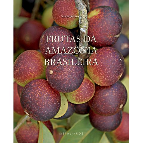frutos-da-amazonia-brasileira