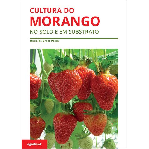 cultura-do-morango