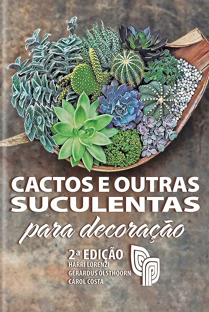 Conjunto de cactos com flor em forma de coração