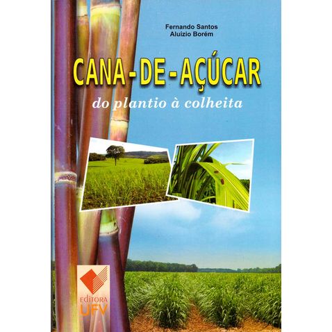 cana-acucar-plantio-colheita
