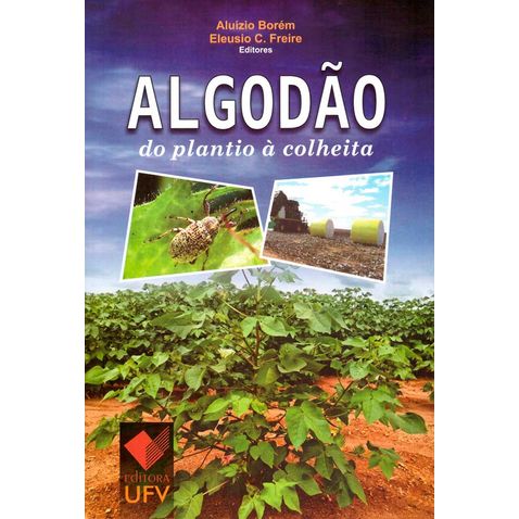 algodao-plantio-colheita