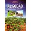 algodao-plantio-colheita
