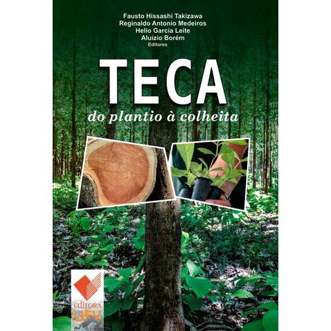 teca-plantio-colheita