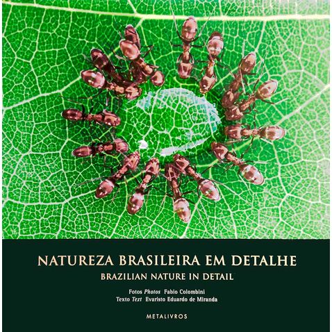 natureza-brasileira-detalhe