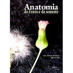 anatomia-do-fruto-e-da-semente