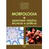morfologia-anatomia-vegetal-tecnicas-praticas