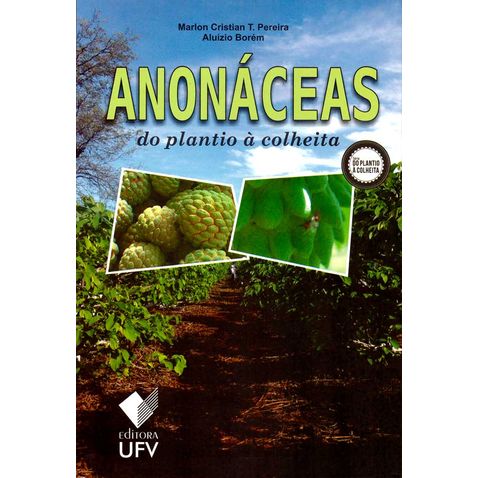 anonaceas-plantio-colheita