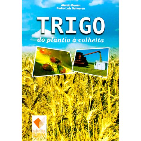 trigo-plantio-colheita