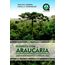 floresta-com-araucaria-composicao-floristica-biota-solo