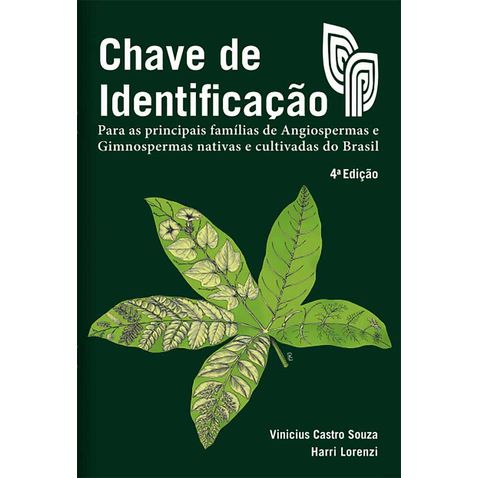 chave-identificacao