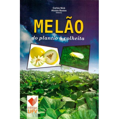 melao-plantio-colheita