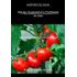 agroecologia-manejo-sustentavel-fertilidade-solo