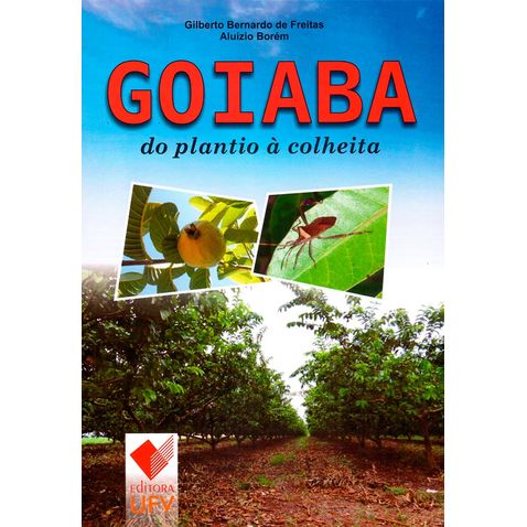 goiaba-plantio-colheita