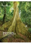 remanescentes-mata-atlantica
