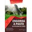 engorda-pasto-pecuaria-corte-4-ed