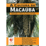cultura-macauba.png