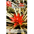 cultivo-pratico-bromelias-3-ed.png