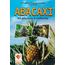 abacaxi-plantio-colheita