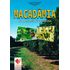 macadamia-plantio-colheita