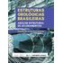 estruturas-geologicas-brasileiras
