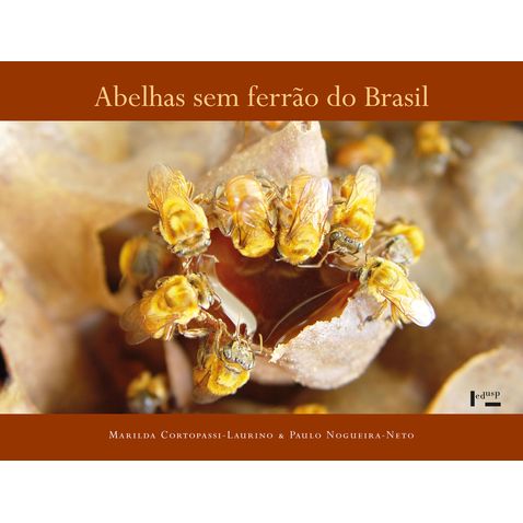 abelhas-sem-ferrao-do-brasil