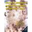 manual-metodos-analise-microbiologica-alimentos-agua-4-ed