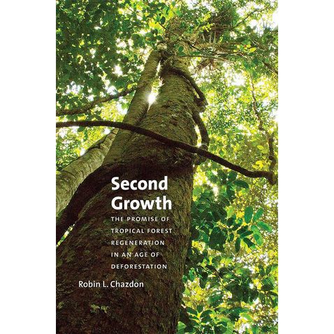 second-growth-promise-forest-regeneration