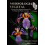morfologia-vegetal-organografia-dicionario-ilustrado-morfologia-plantas-vasculares