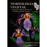 morfologia-vegetal-organografia-dicionario-ilustrado-morfologia-plantas-vasculares